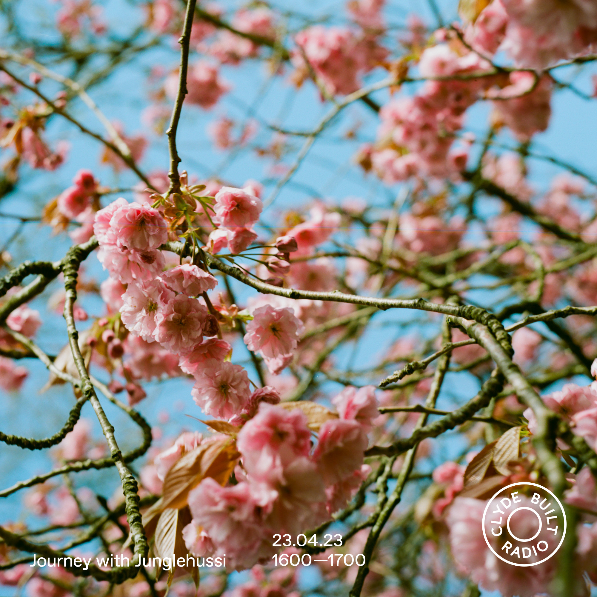 Journey with Junglehussi - April 2023 copy